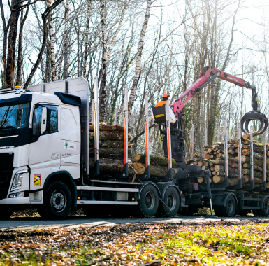 Un approvisionnement responsable et local en bois 