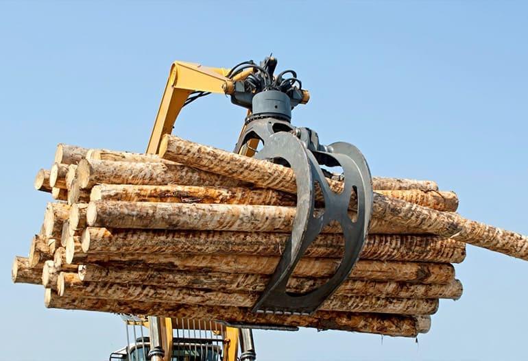 Machine demonstration - Forexpo 2025