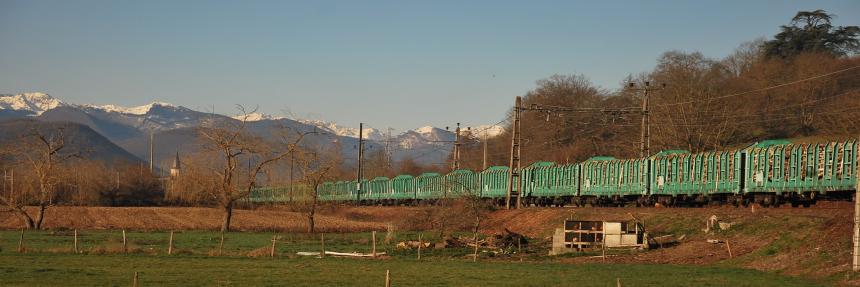 Saint-Gaudens timber supply chain